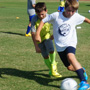A Happy DMSA Camper